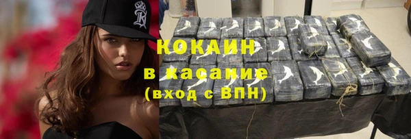 шишки Бронницы
