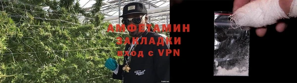 прущий лед Бородино