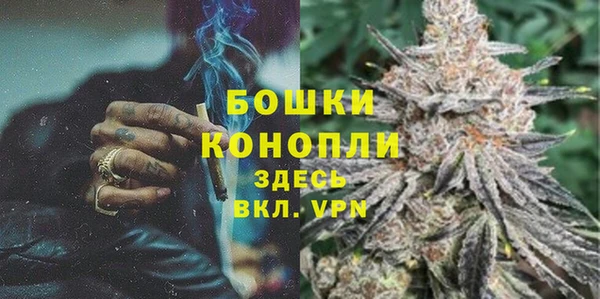шишки Бронницы