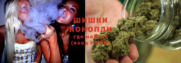 прущий лед Бородино